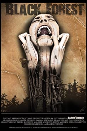 Black Forest (2015) starring M.J. Dionne on DVD